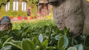 A stone cat statue in a garden with a house in the background. - Casa Liza (San Miguel de Allende)