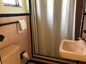 Free toiletries, towels, soap, shampoo - Economy Suites (Winter Haven)