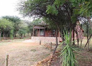 A rustic cabin with a stone foundation, surrounded by trees and a dry grassy area.