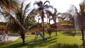 Zona verda ben cuidada amb palmeres, un tobogan blau i una piscina petita.