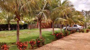 Zona residencial amb palmeres, un cotxe aparcat al carrer i un altre cotxe vermell a la distància.