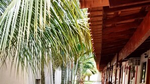 Un passatge cobert amb palmeres i una reixa de drenatge, que condueix a un edifici amb terrasses a l'exterior.
