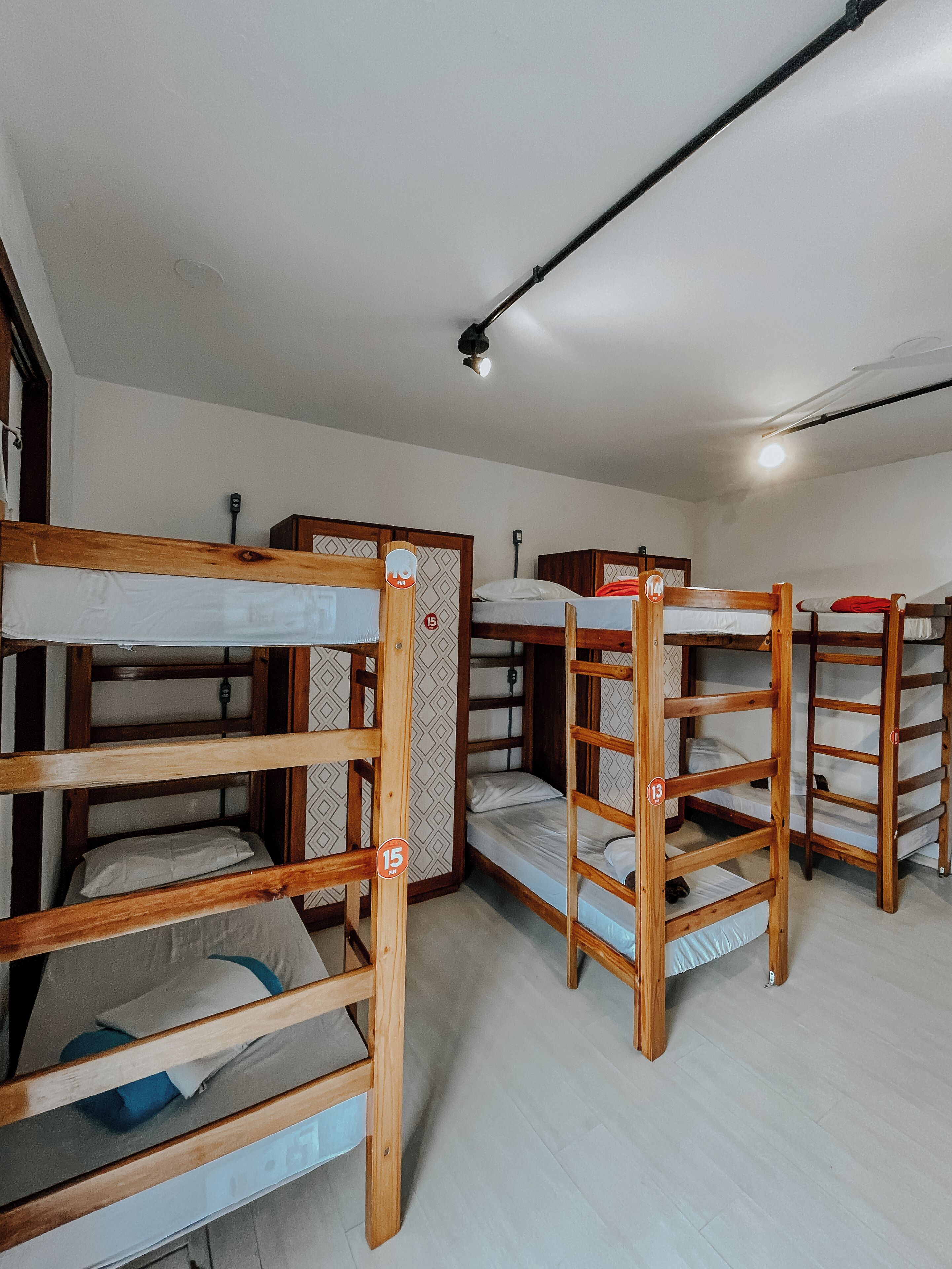 Foto - Pup Hostel SC