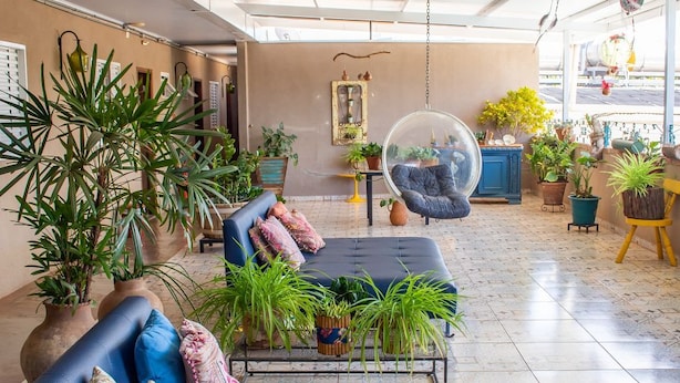 A spacious room with a large blue sofa, hanging chairs, and numerous potted plants.