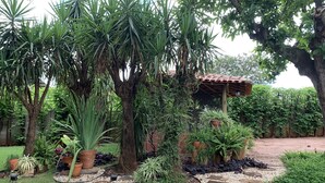 Un jardin agrémenté de diverses plantes, d’une pergola et d’un chemin en pierre.