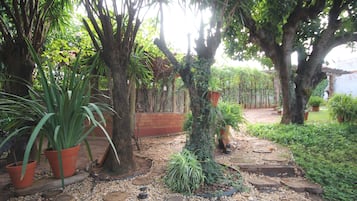Jardin