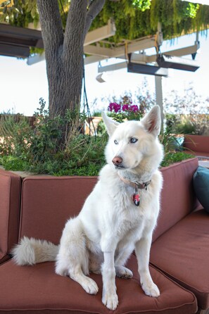 2 개의 레스토랑, 아침 식사, 점심 식사, 저녁 식사 제공(아시아 요리)