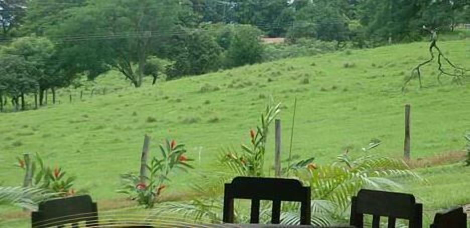 Vista de uma encosta gramada com árvores e uma cerca.