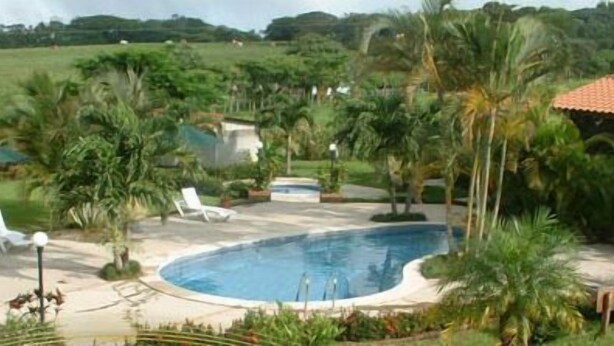Une piscine entourée de palmiers et un petit bâtiment, probablement un vestiaire ou un abri pour la piscine, avec une chaise longue et un jacuzzi à proximité.