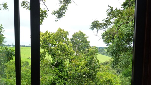 View from property - Treehouse Cottage (The Crags)