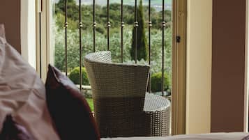Deluxe Room, Balcony | View from room