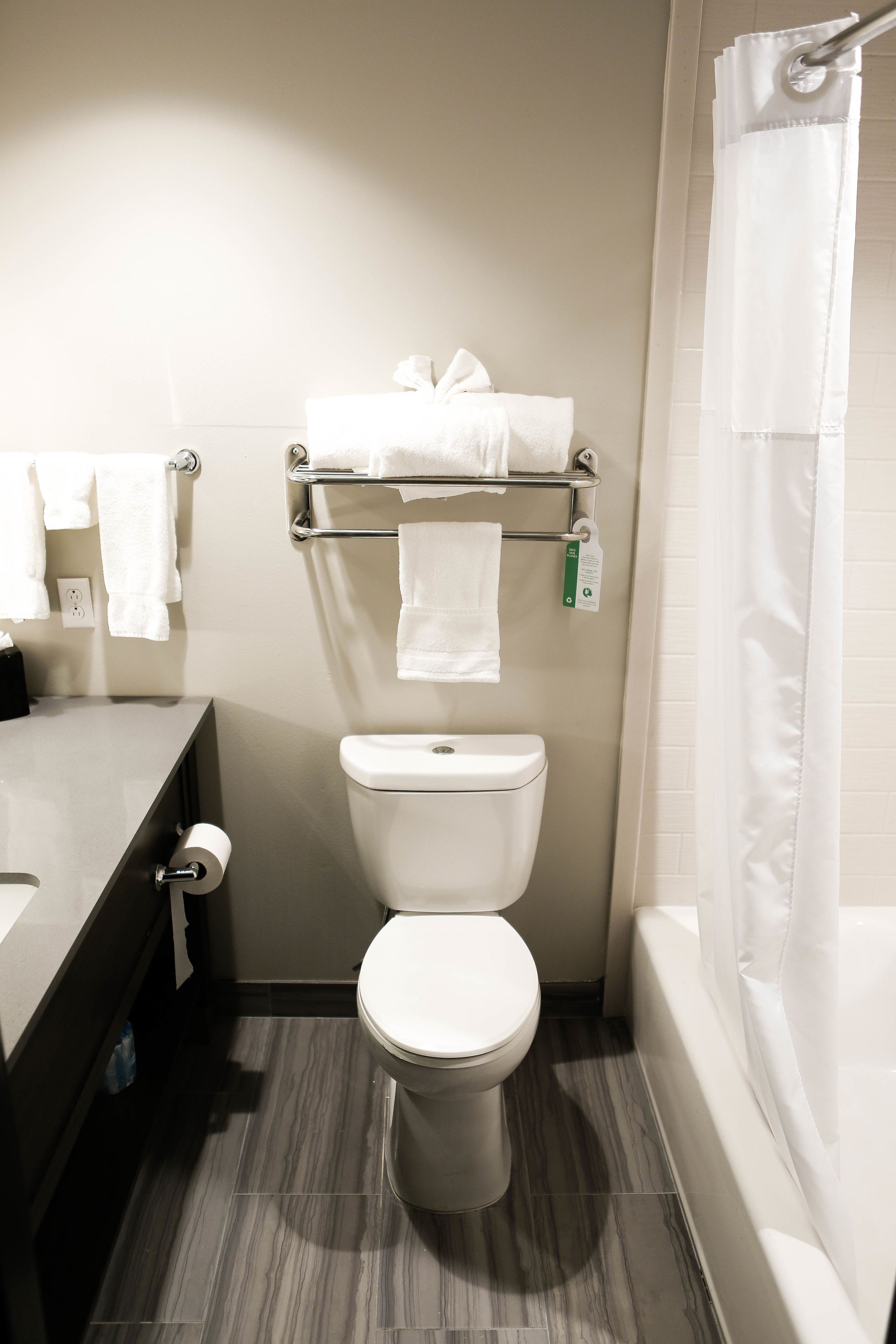 Un baño con inodoro, toallero, cortina de ducha y lavabo.