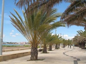 Vue depuis l’hébergement