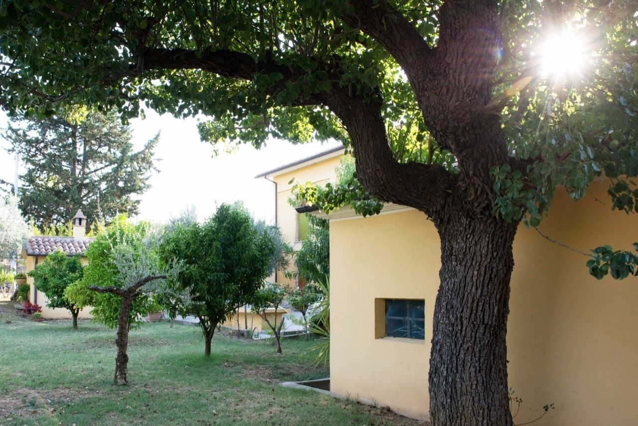 A tree-lined courtyard with a building featuring a small window.