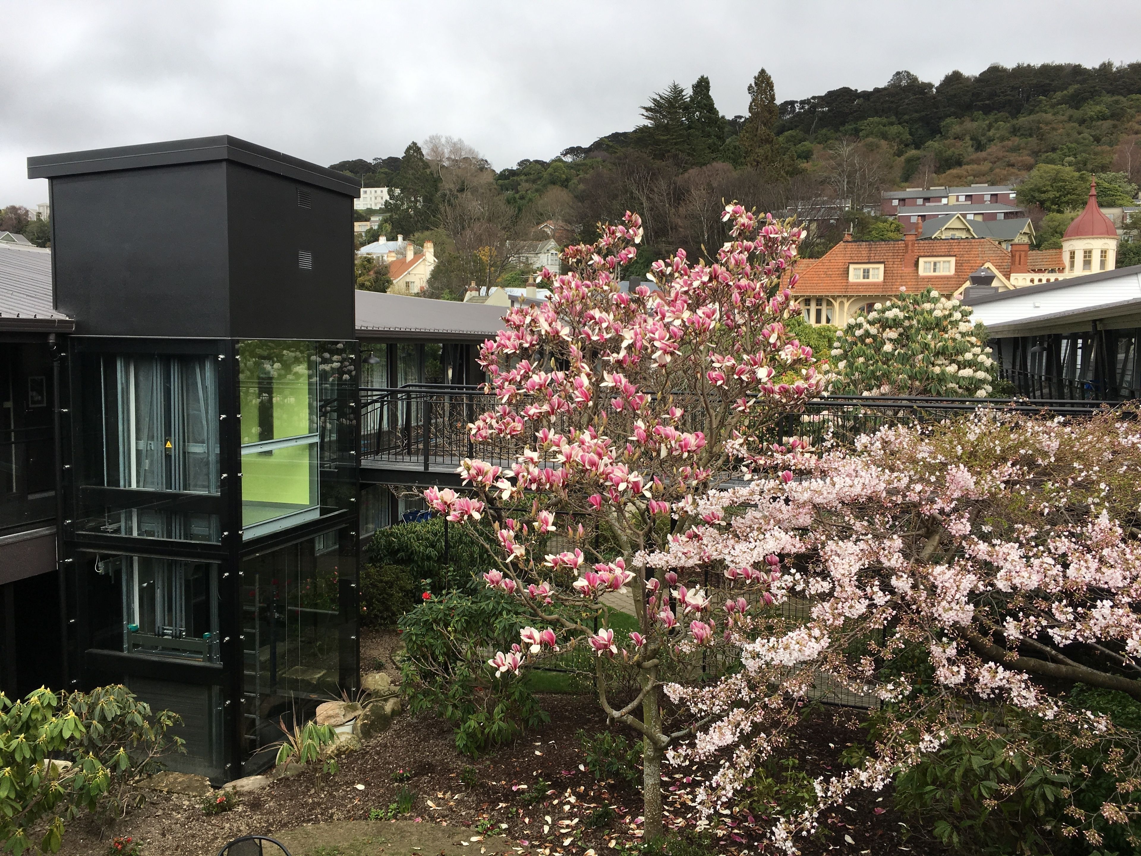 A modern building with a glass facade, surrounded by flowering trees.