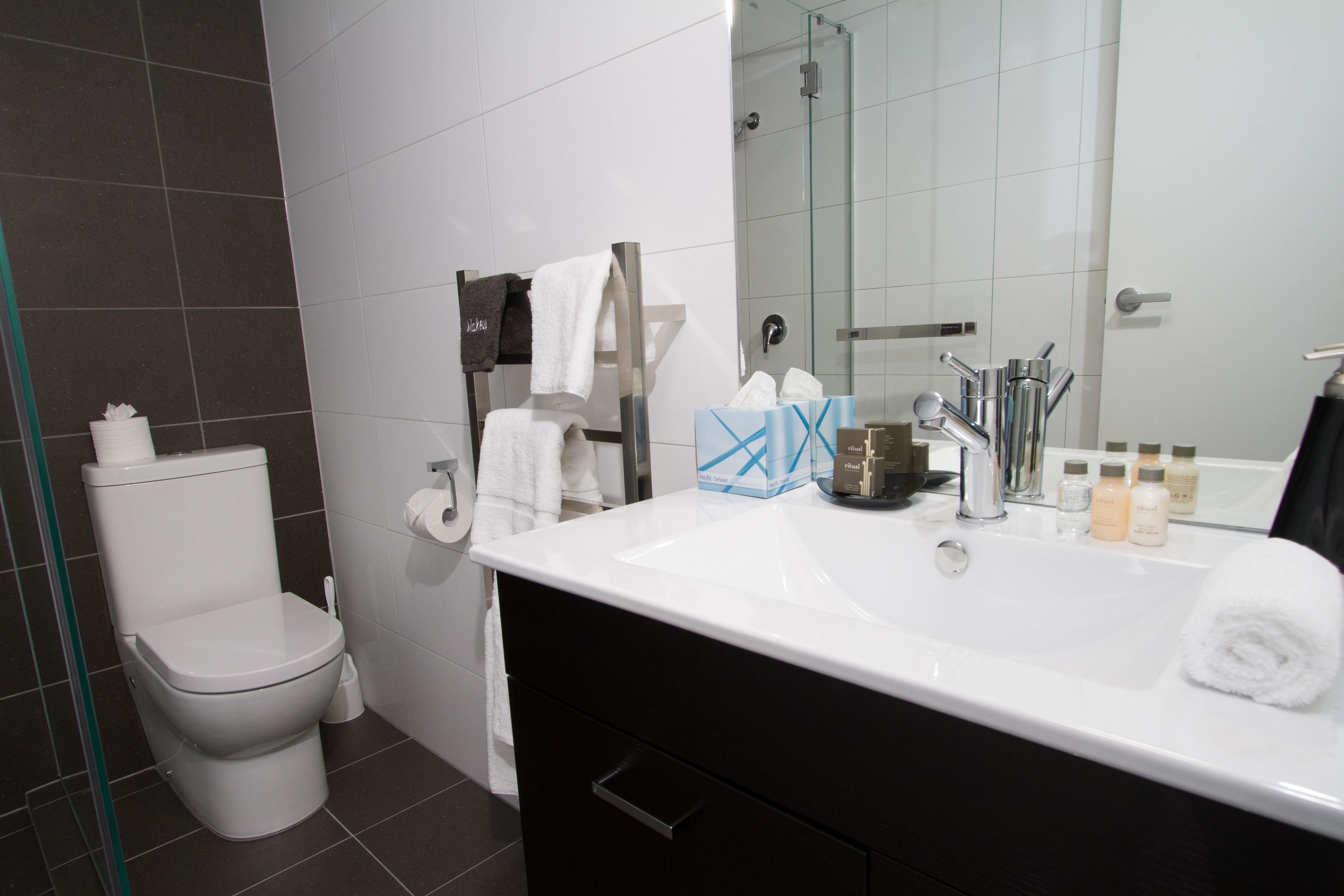 A modern bathroom with a white sink, a glass shower enclosure, a toilet, and a black vanity.
