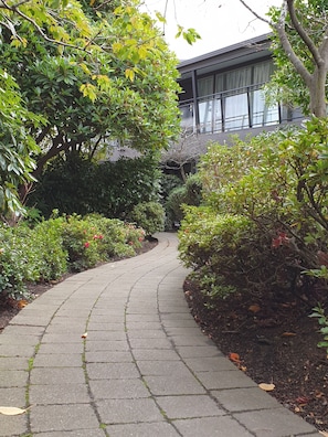Garden - Aurora On George (Dunedin)