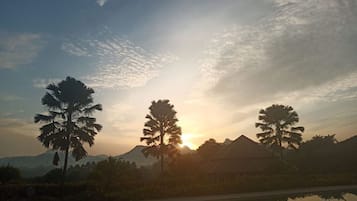 Zonsondergang met palmbomen en bergen op de achtergrond.