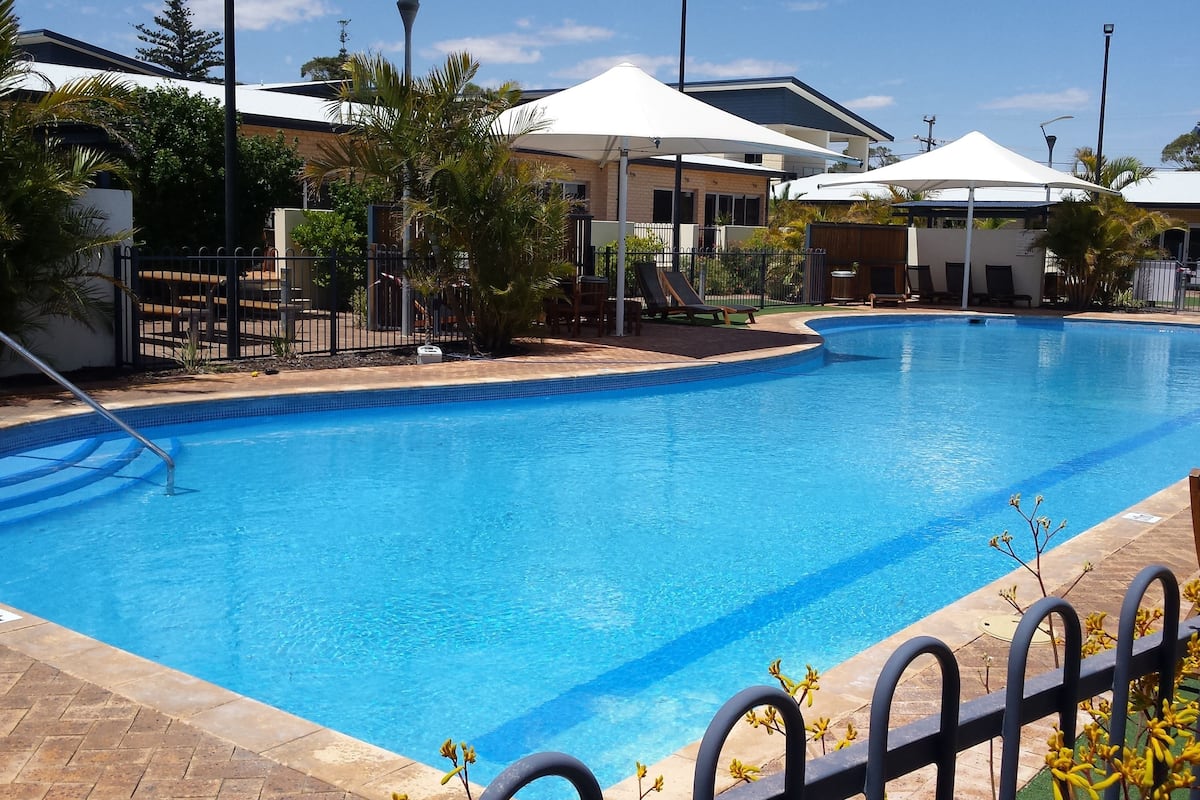 A swimming pool with a tiled edge, surrounded by a fence and palm trees.