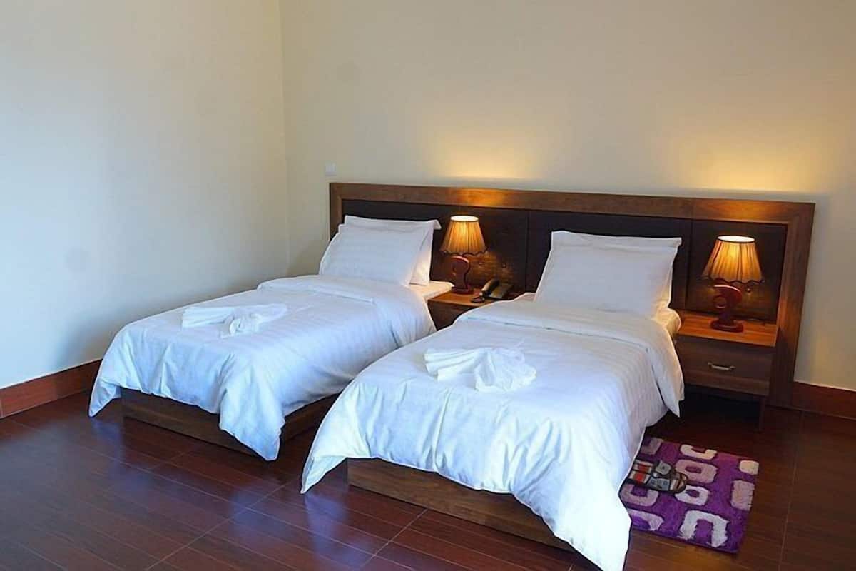 A hotel room with two single beds, wooden headboards, bedside lamps, and a purple rug.
