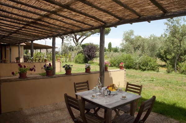 Terrace/patio