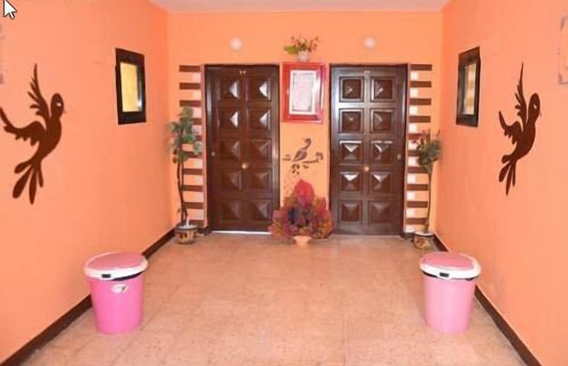 A hallway with two pink trash bins, a decorative wall with a bird mural, and a door with a geometric pattern.