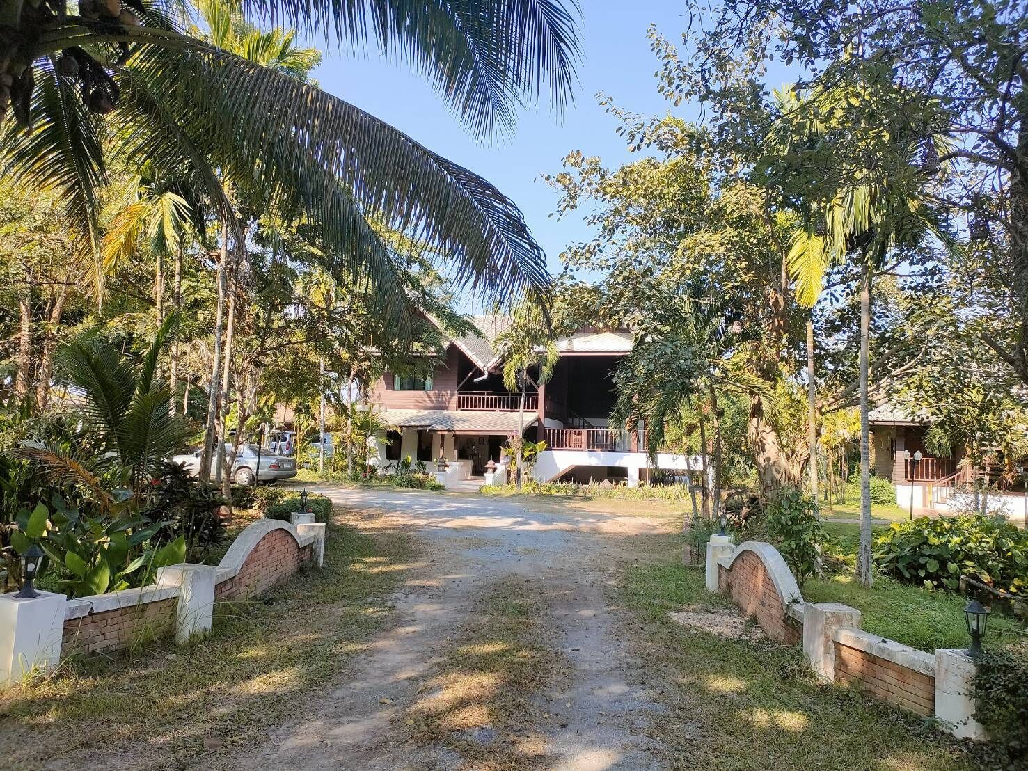 A bungalow with a thatched roof, surrounded by lush greenery and palm trees.