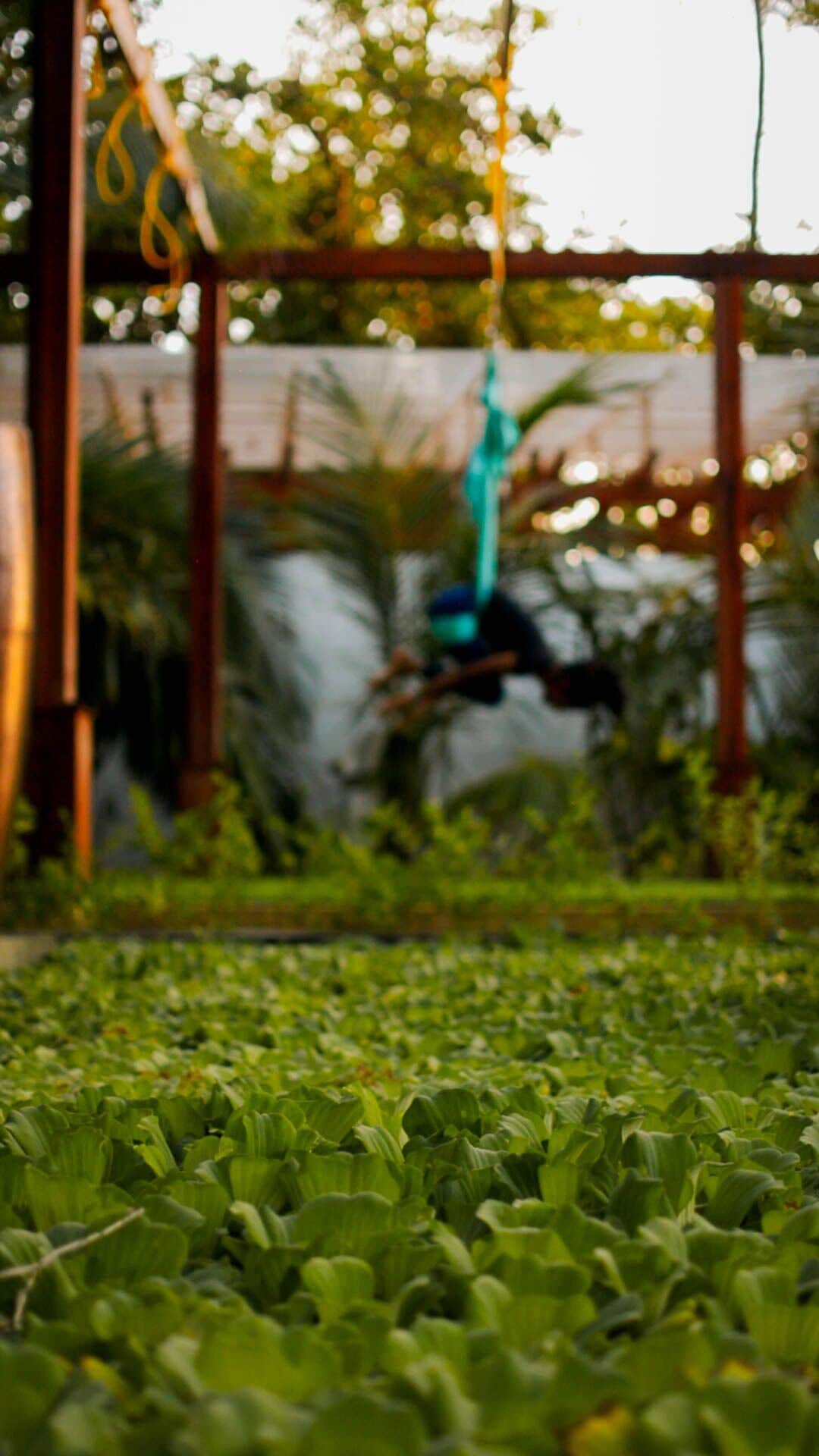 couples treatment room(s), manicures and pedicures