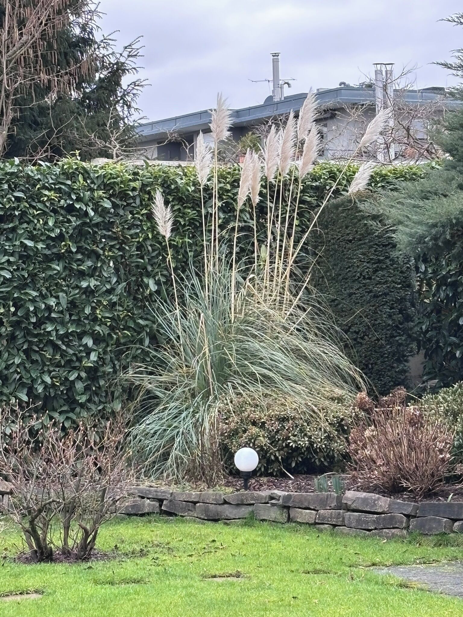 Foto - Garten-Hotel Ponick