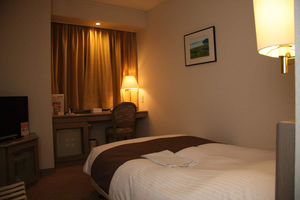 Una habitación de hotel con cama, un escritorio con silla, un televisor y una lámpara.
