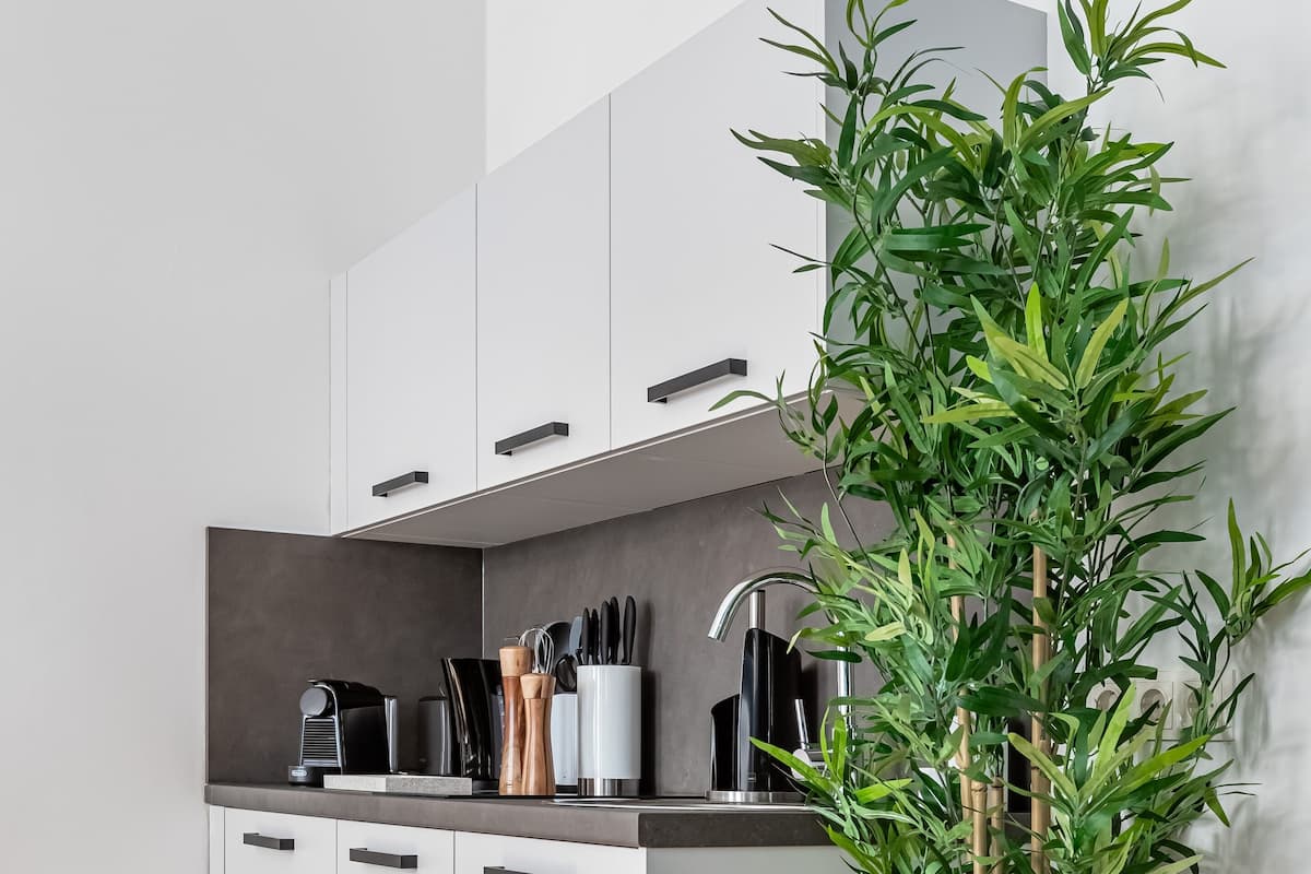 A modern kitchen with white cabinets, a black countertop, and a large potted bamboo plant.