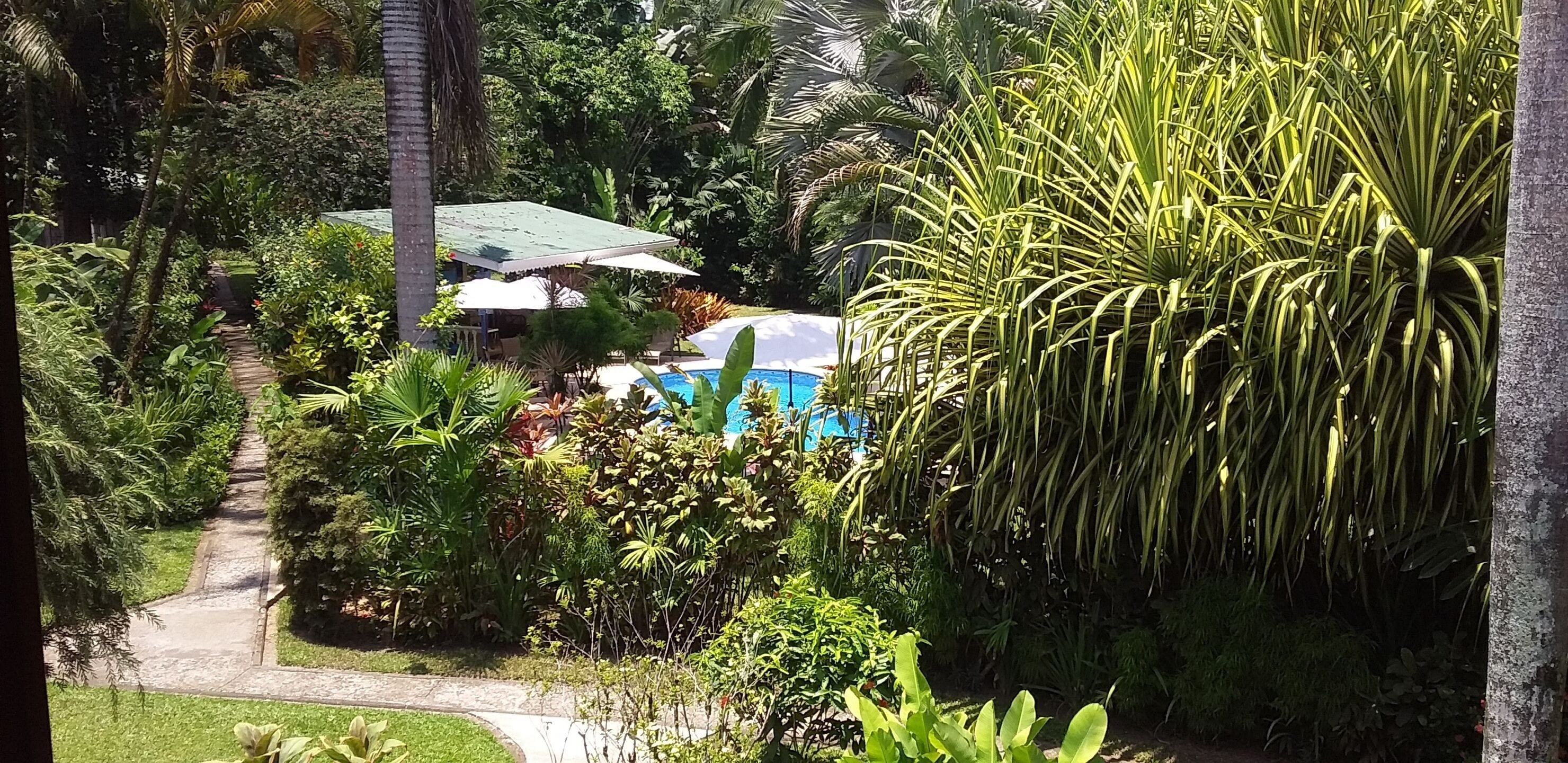 Photo - Playa Negra Guesthouse