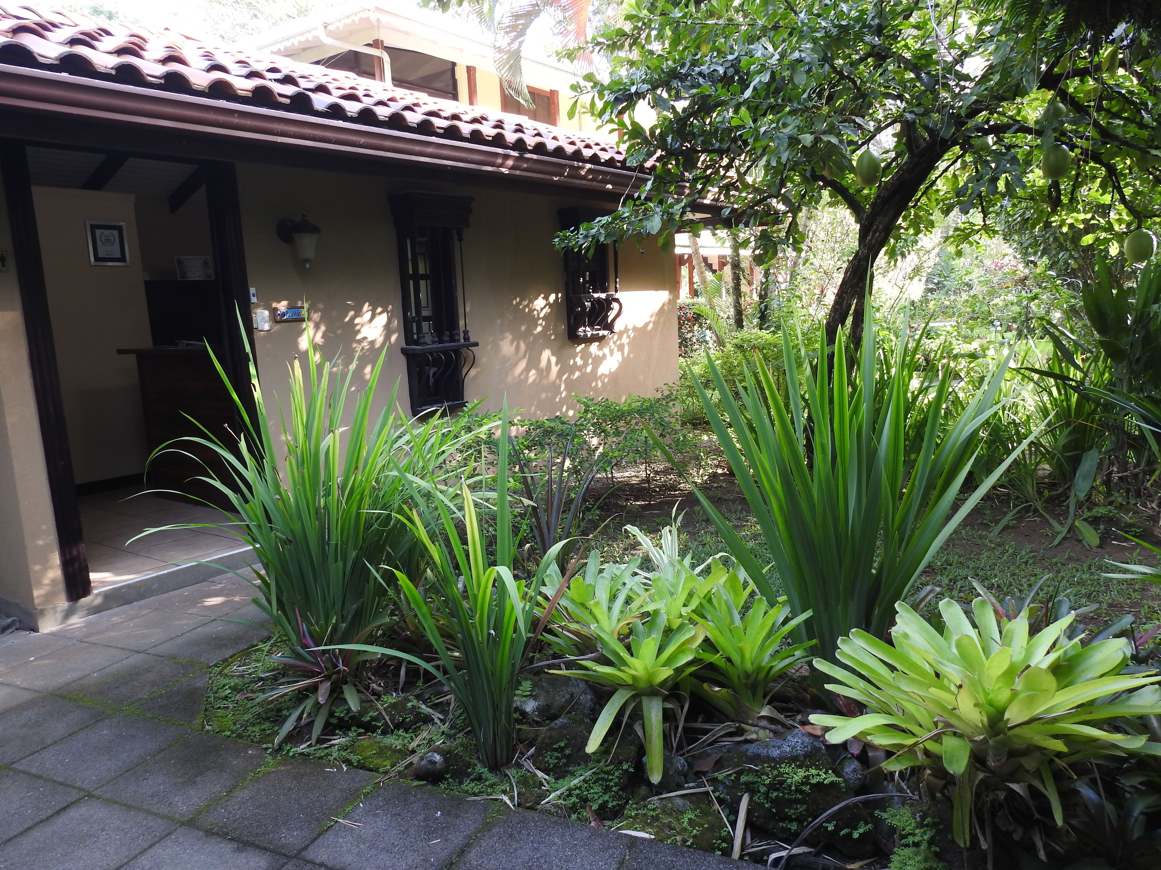Photo - Playa Negra Guesthouse