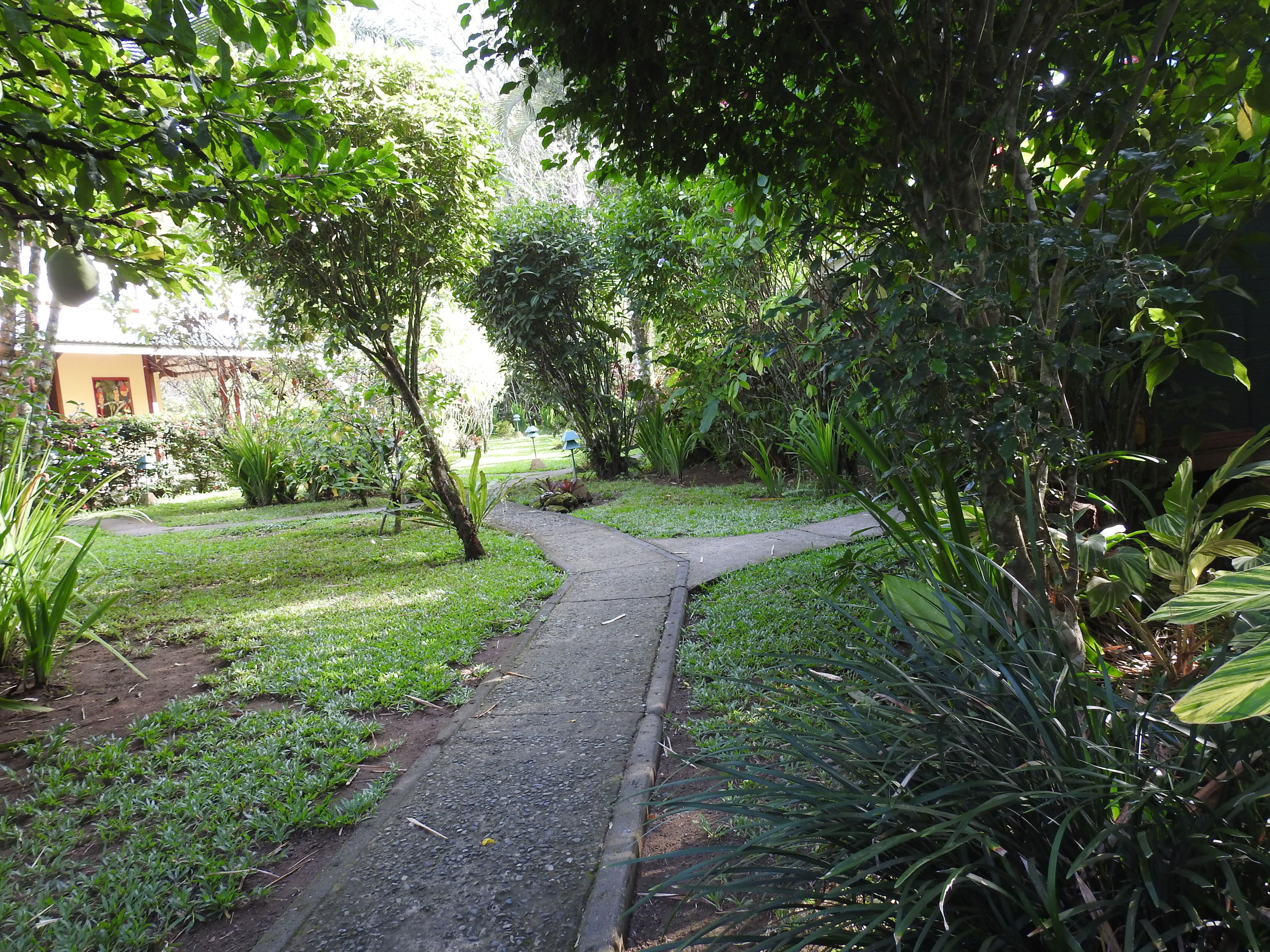 A garden pathway with lush greenery and a building in the background.