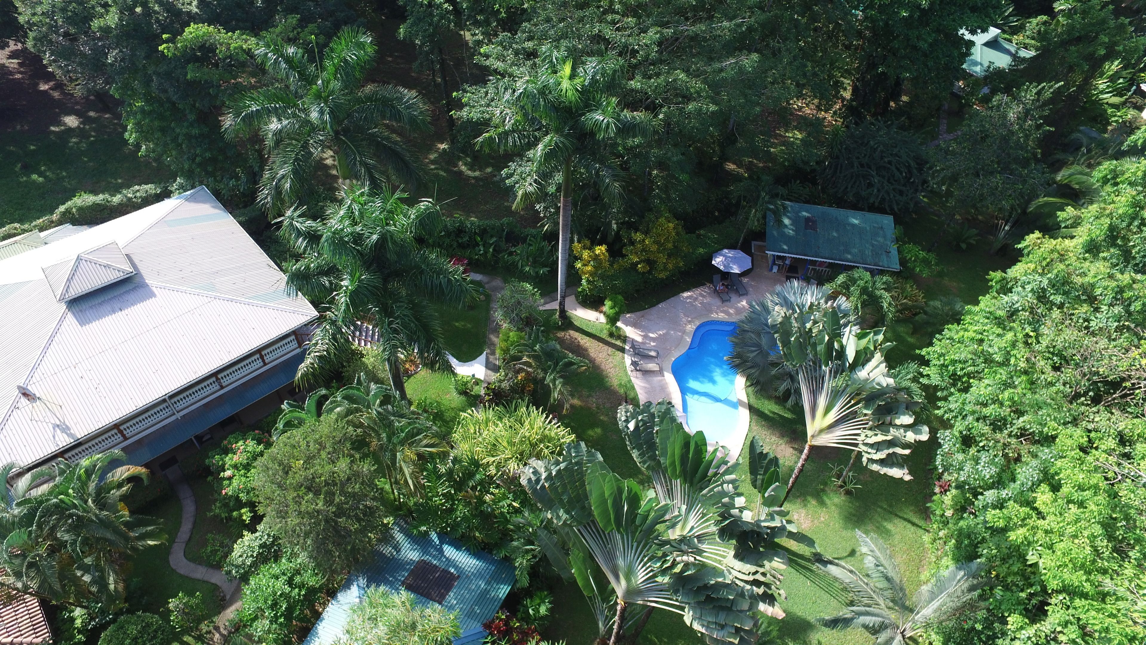 An aerial view of a residential property with a swimming pool, lush greenery, and a house with a sloped roof.