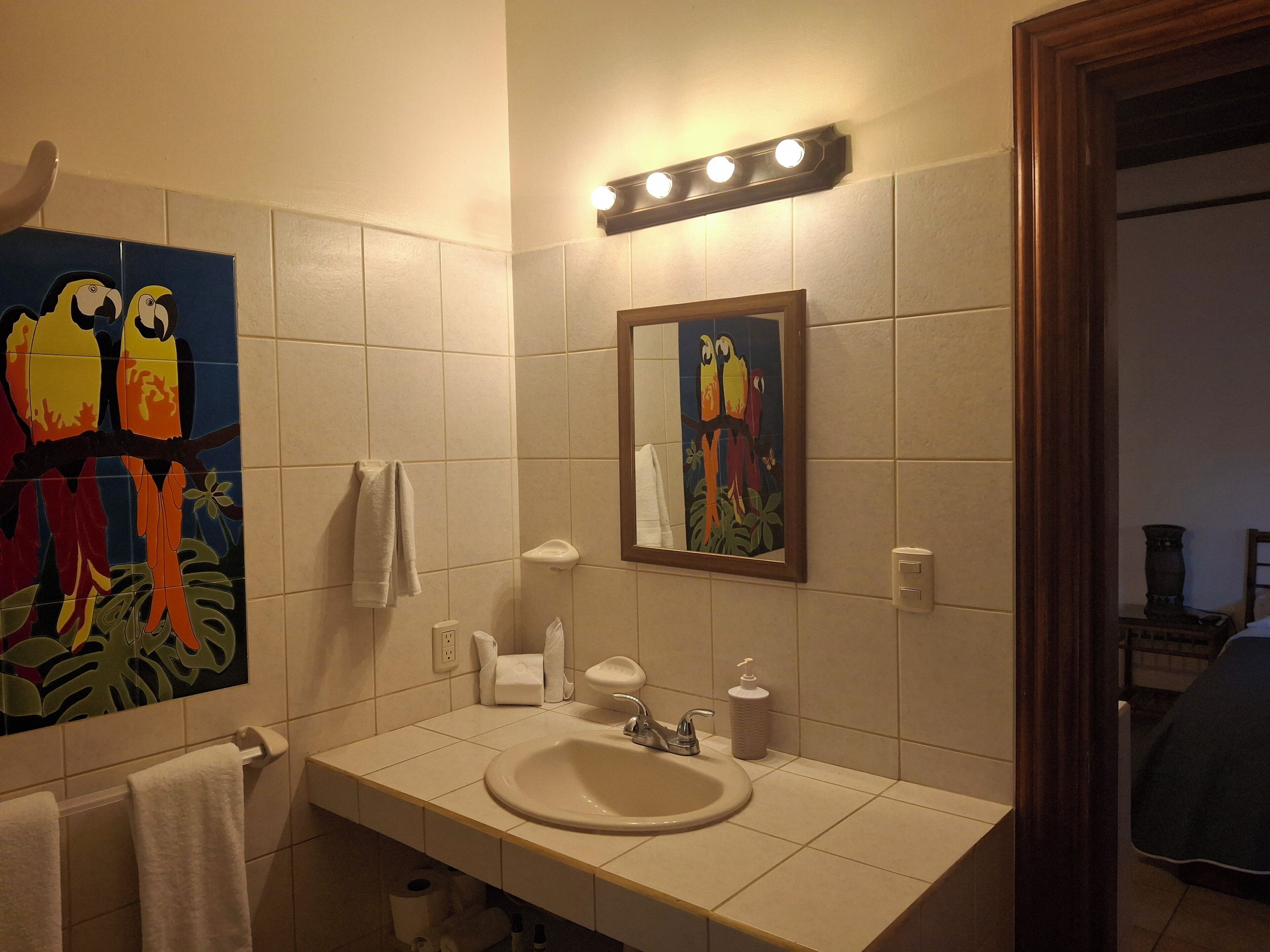 A bathroom with a sink, mirror, and two bird-themed wall tiles.