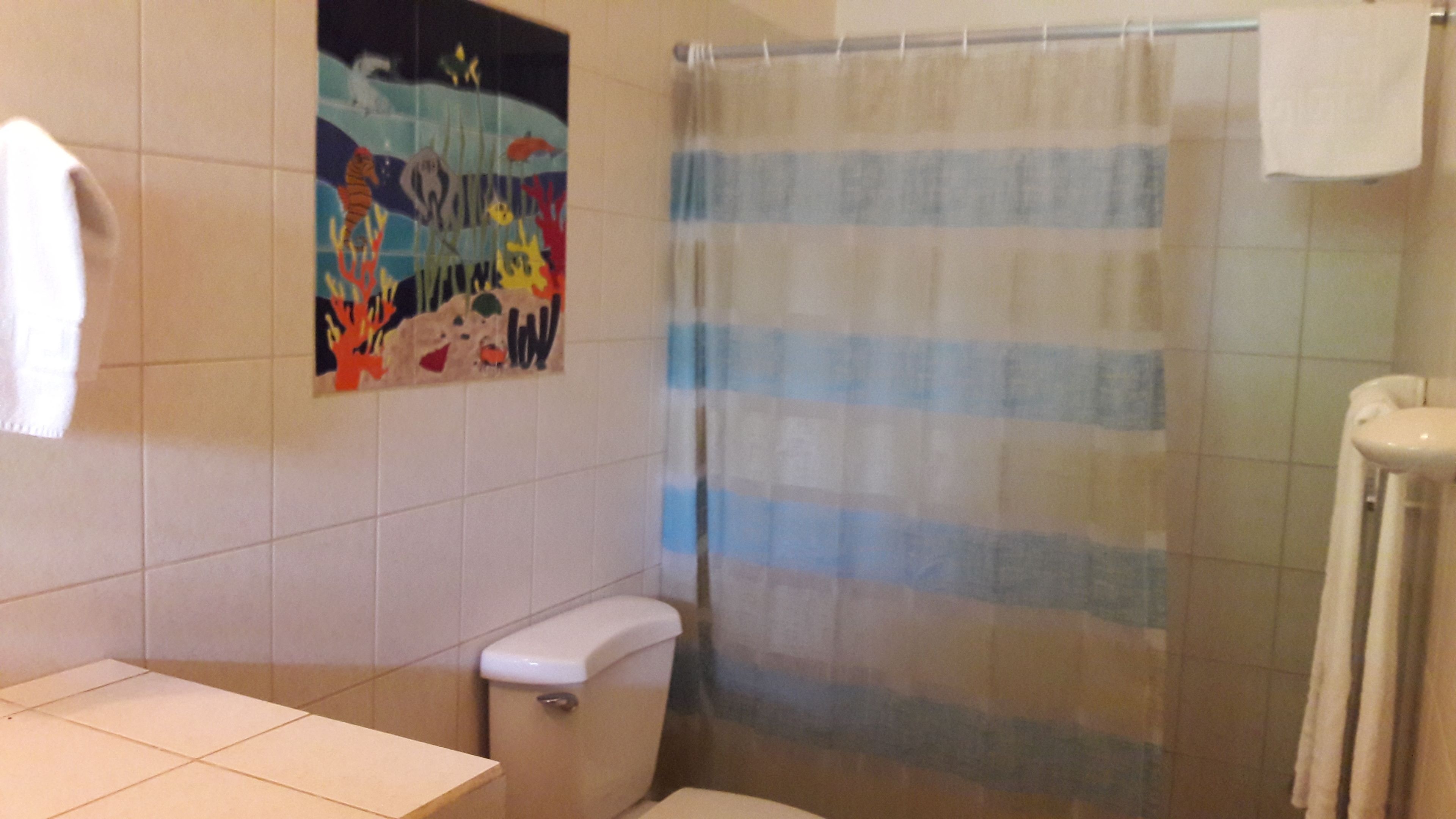 Un baño con cortina de ducha, inodoro y lavamanos.