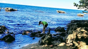 Una playa cerca