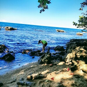 Beach nearby - Cahuita Inn (Cahuita)