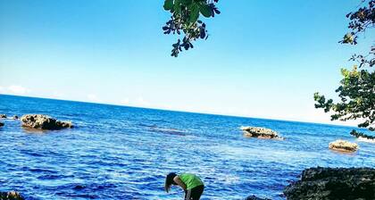 Cahuita Inn