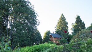 A wooden cabin surrounded by dense forest and flowering plants. - Cocos Cura Casas de Montaña (San Carlos de Bariloche)