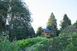 Uma cabana de madeira rodeada por uma floresta densa e plantas floridas.