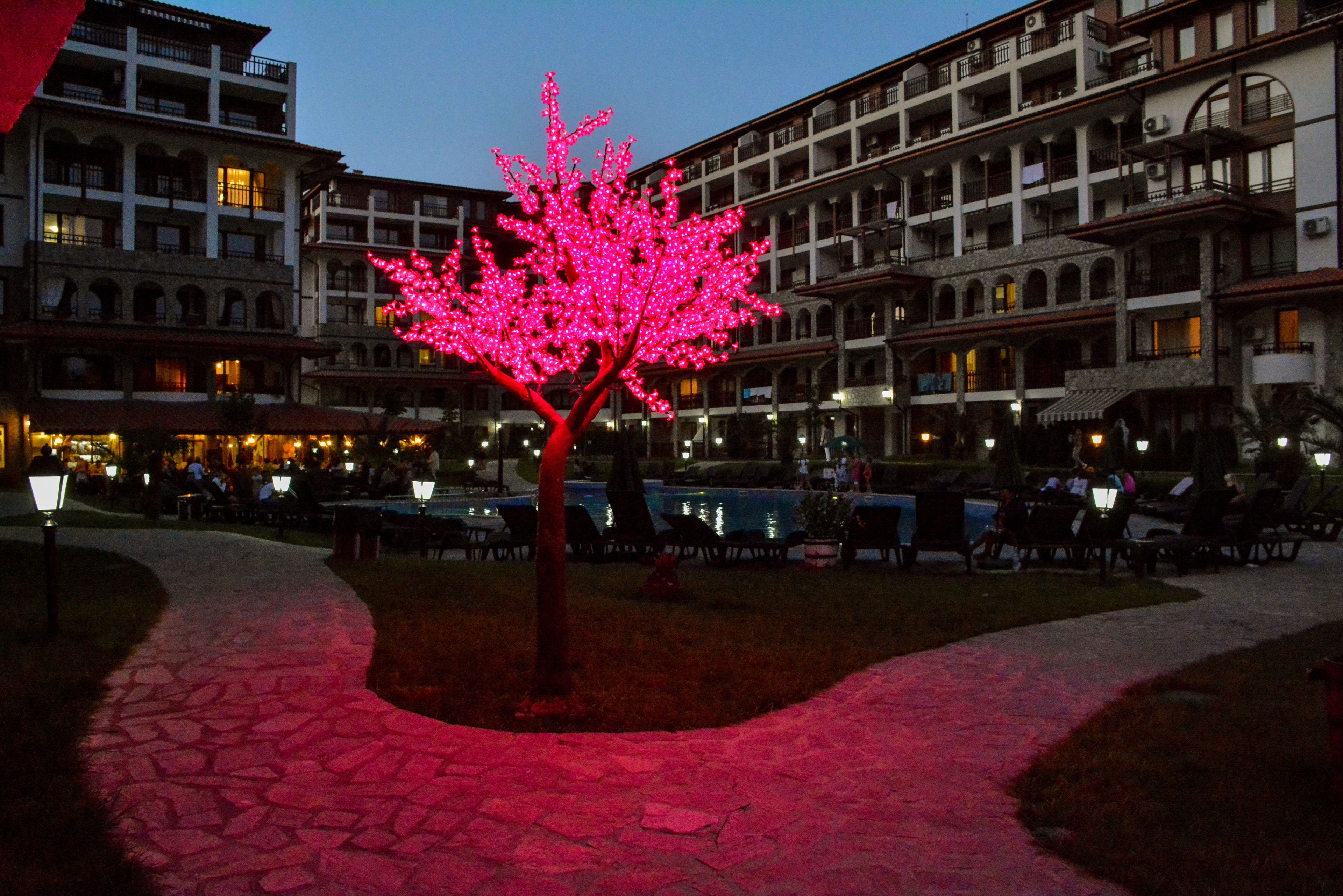 Front of property - evening/night