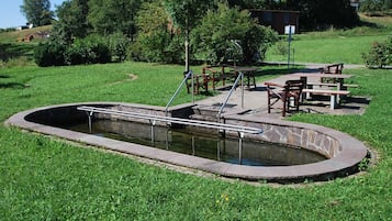 Sportbereich
