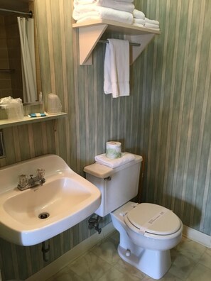 Combined shower/bathtub, hair dryer