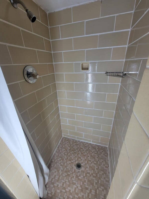 Combined shower/bathtub, hair dryer - Medina Inn (Medina)