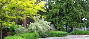 Lakeshore Bed & Breakfast