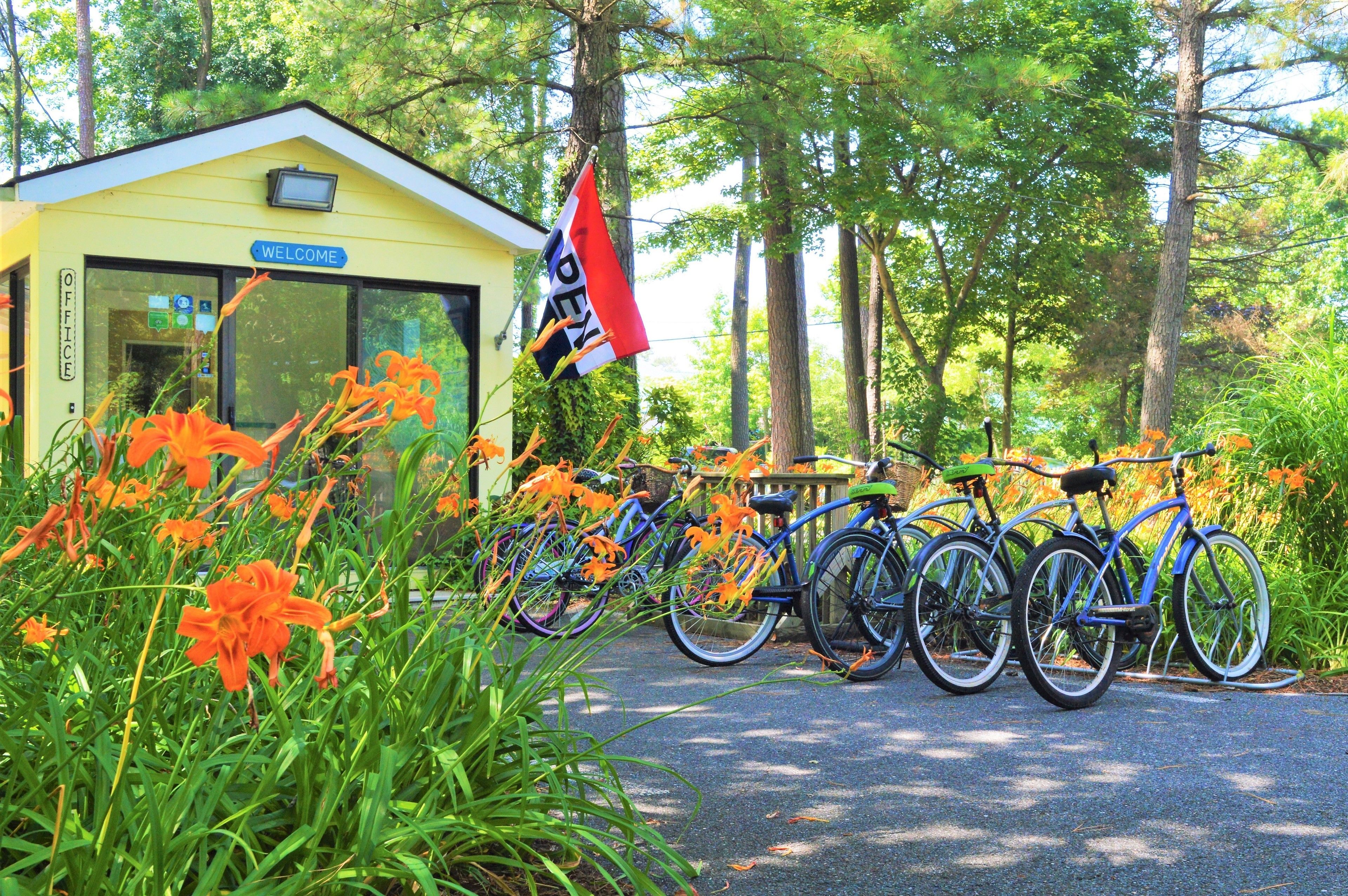 A yellow building with a 'Welcome' sign, a flag, and bicycles parked in front.