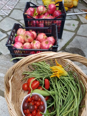 Dining - Amanita Guesthouse (Zagora-Mouresi)