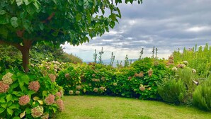 A garden with a stone pathway, lush greenery, and a tree. - Amanita Guesthouse (Zagora-Mouresi)